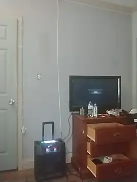 ReallyReallyReal webcam