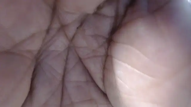 NastyPervet live cam on StripChat