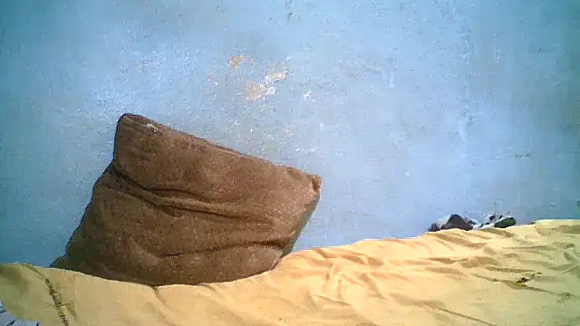 little__joy webcam