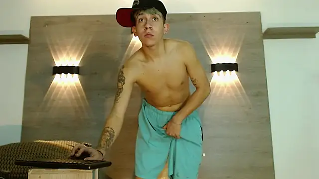 Gaeliitto webcam