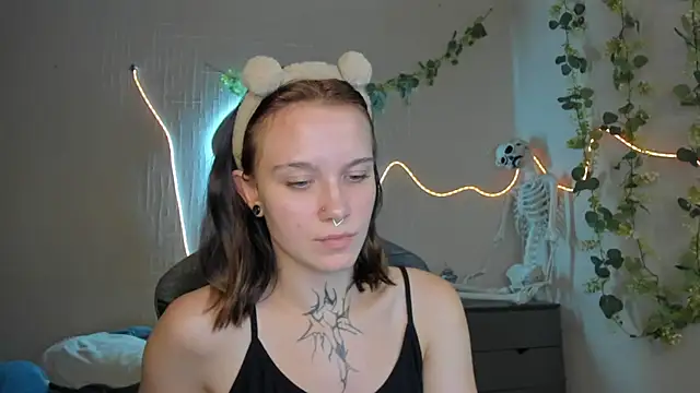 Elastikisss webcam