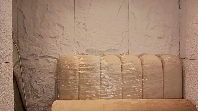 tatiscelis_tf webcam
