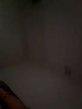 vio86 webcam