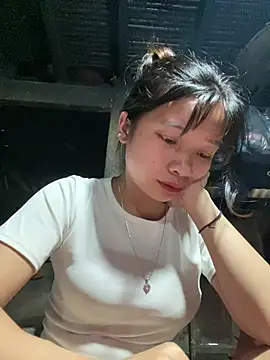 Xiuxiu-zz webcam