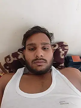 Bull_young2 webcam