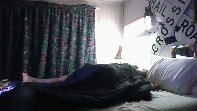 fordomatic2 webcam