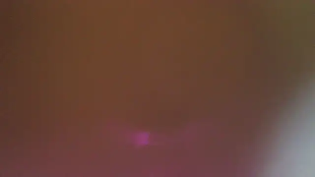Mushroom83 webcam