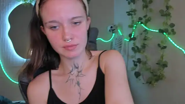 Elastikisss webcam