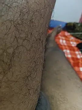 modelSpidy webcam