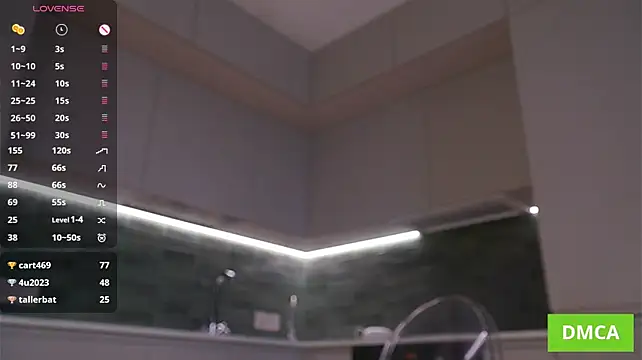 RuthFraction webcam