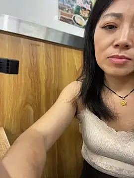 Lipinger webcam
