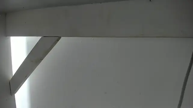 LorenaAndJackson webcam