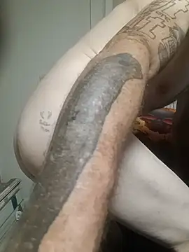 Spotless_Load webcam