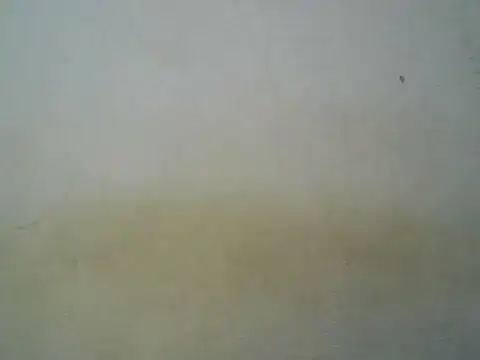 curvy_girl6 webcam