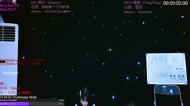 CCTW-100 webcam