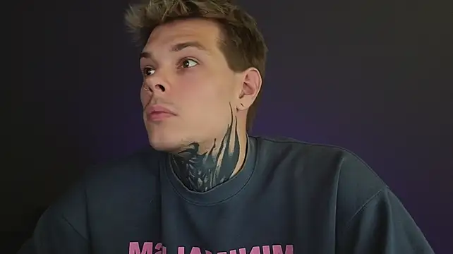 DENIS_HERE webcam
