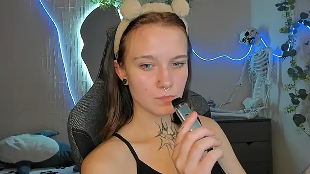 Elastikisss webcam