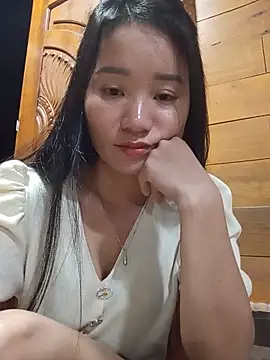 Td3di webcam