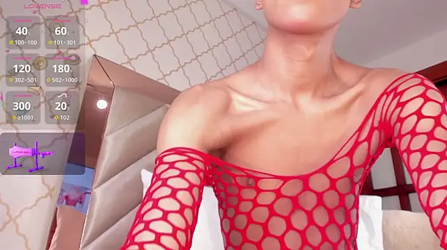 KaelSoft_ webcam