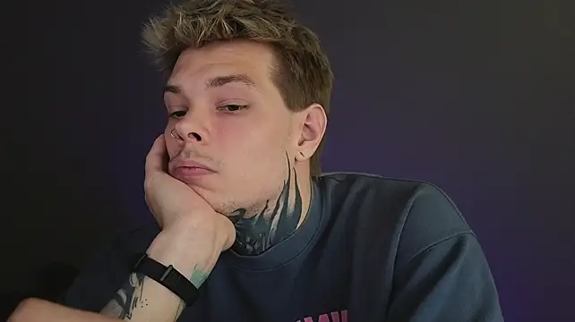 DENIS_HERE webcam