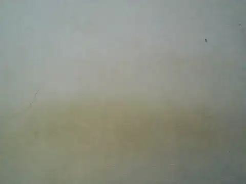 curvy_girl6 webcam