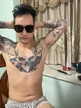 Panda-x webcam