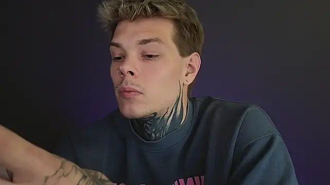 DENIS_HERE webcam