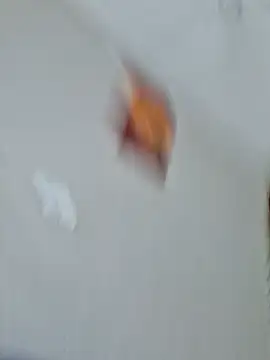 Kamdollie
