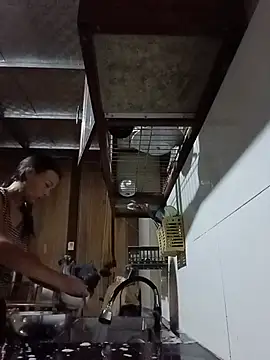 toyo_668 webcam