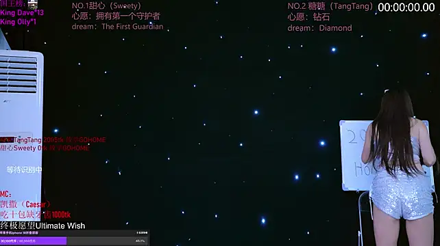 CCTW-100 webcam