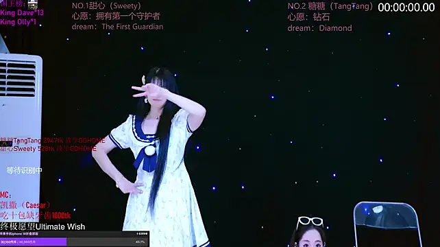CCTW-100 webcam