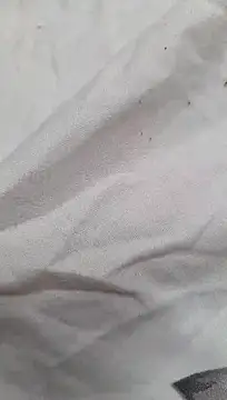 seryi42 webcam