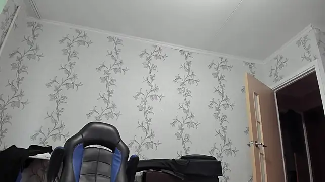SanFrantsisko webcam