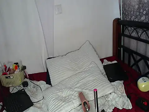 Whimsicalwillow webcam