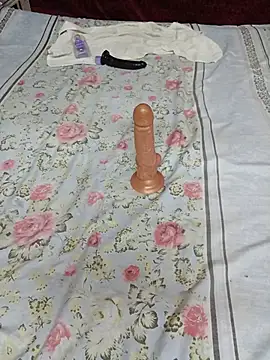 Saso-4 webcam