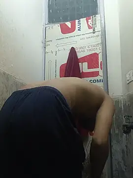 snadycam webcam