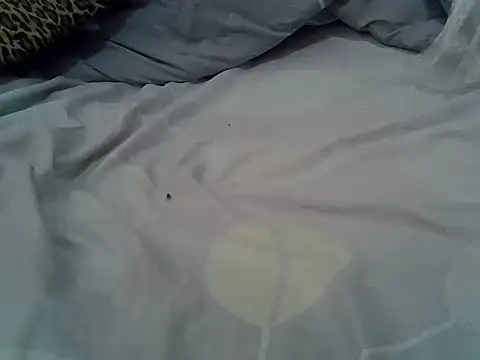 hotnayah webcam