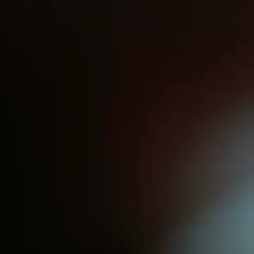 FrRnr webcam