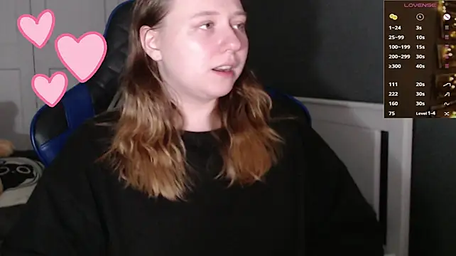 Lecotka webcam