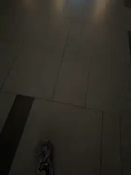 MeimoDog live cam preview