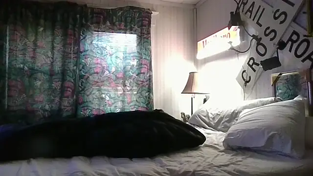 fordomatic2 live cam preview