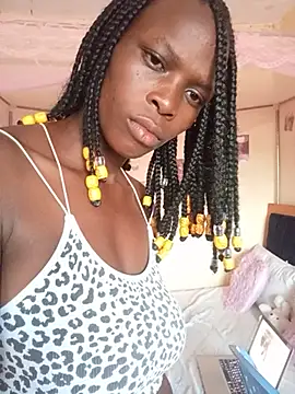 pree254 webcam