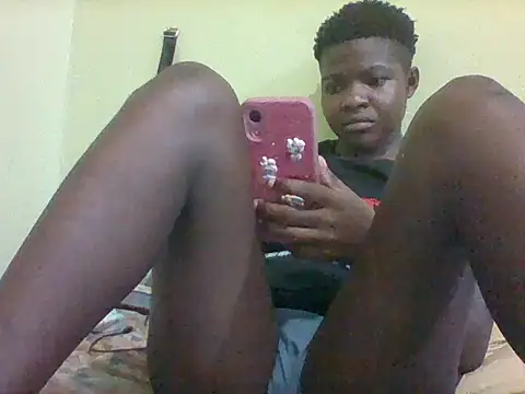 Laurell webcam
