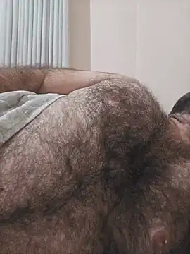 MysterBearMG webcam