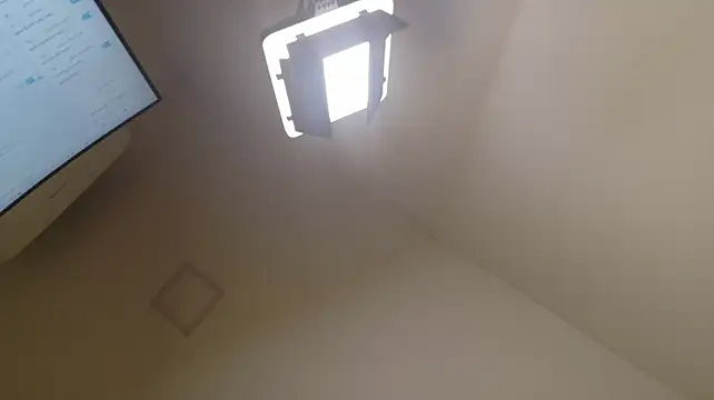 lexxxy_lee