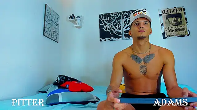 AdamsDvi webcam