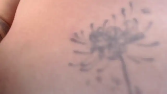 Liily_Foxxy webcam