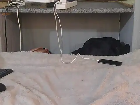 xCoCoaCookie webcam