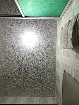 LannyShell webcam