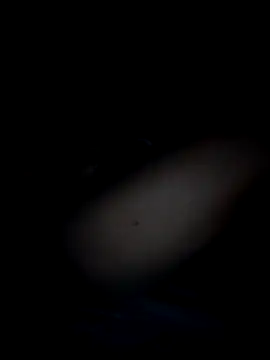 Momo-biki webcam